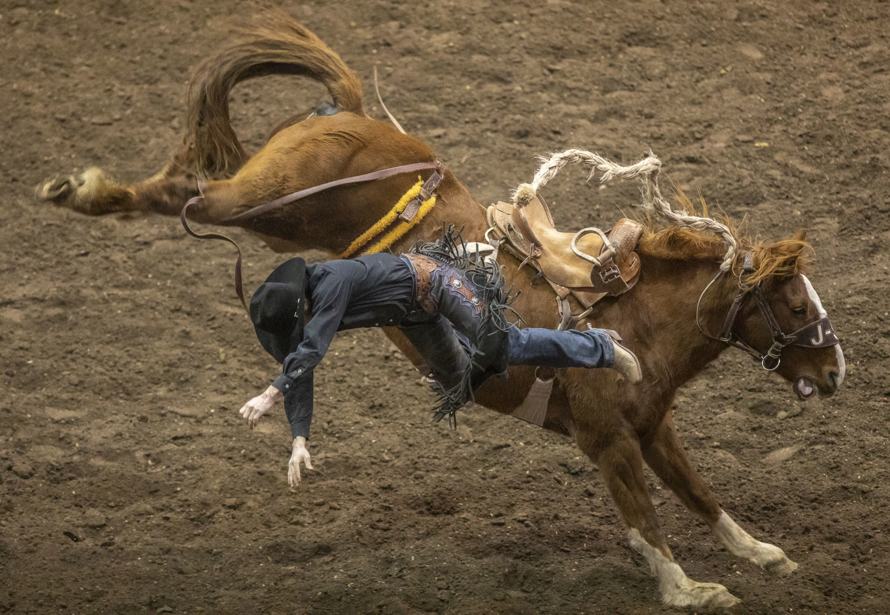 Rodeo Rapid City